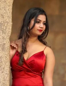 call girl service in Palayamkottai